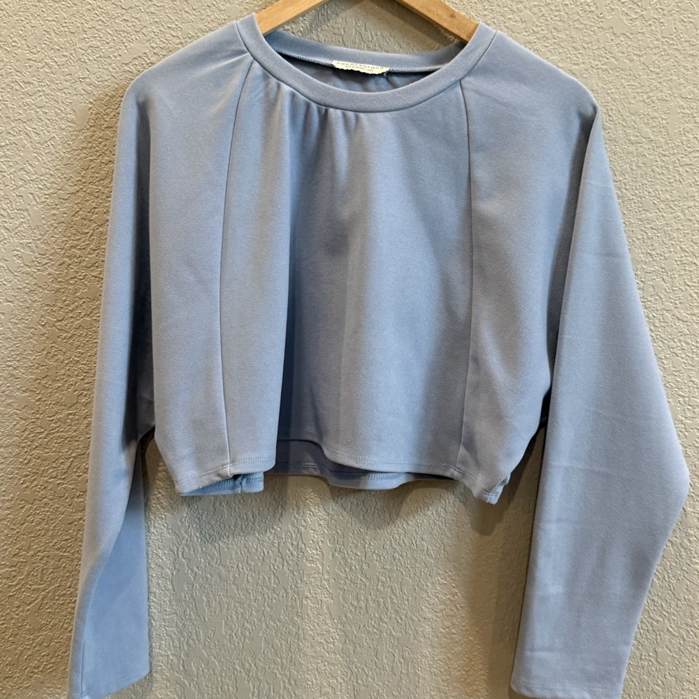 Paper Crane Size Large Cropped Crewneck Sweatshirt Baby Blue Long Sleeve